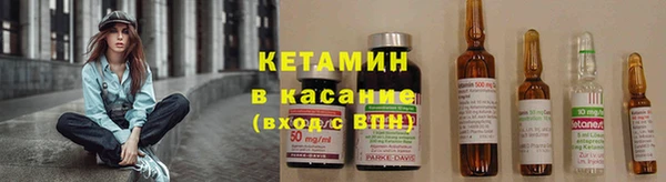 шишки Арсеньев