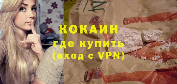 шишки Арсеньев