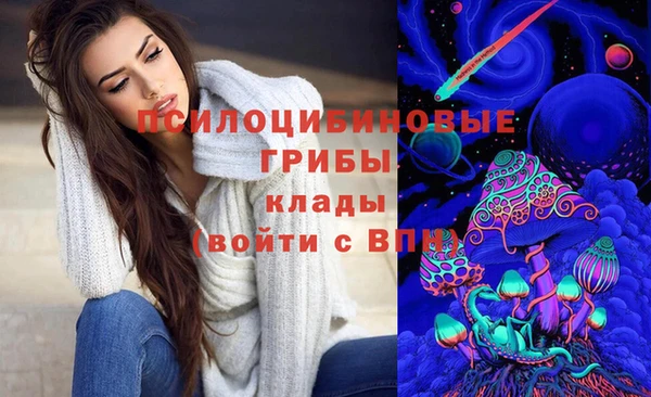 спиды Армянск