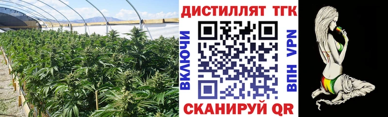 Дистиллят ТГК жижа  продажа наркотиков  Сычёвка 